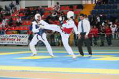 Campionato interregionale marche 2008