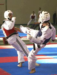 Gara Taekwondo