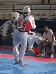 Gara Taekwondo